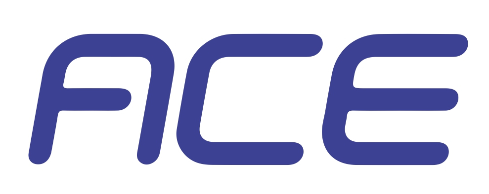 Ace toilet bleach