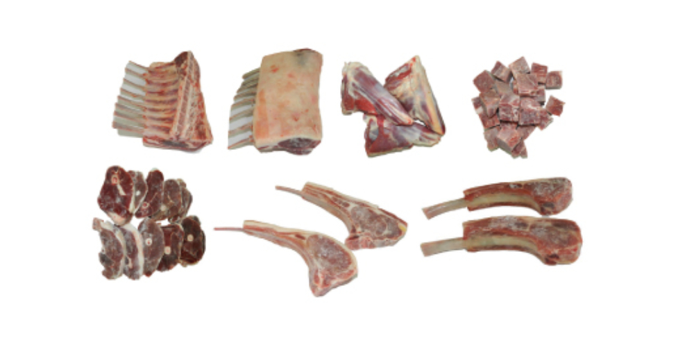 lamb 1